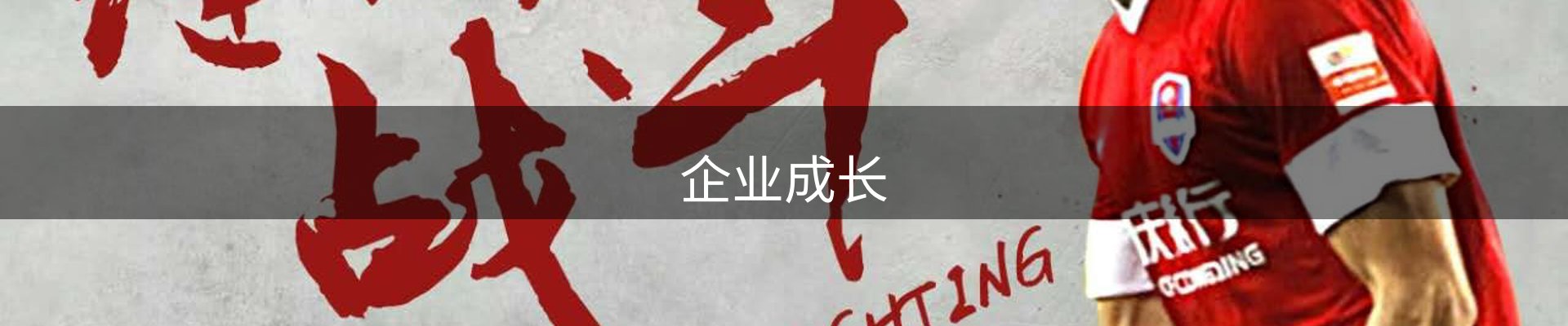 企业成长